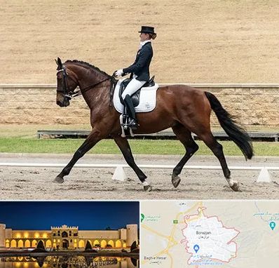 باشگاه سوارکاری بانوان در برازجان