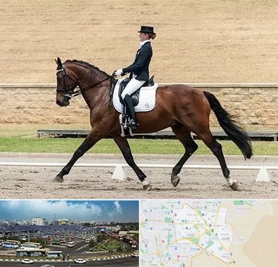 باشگاه سوارکاری بانوان در منطقه 15 تهران 