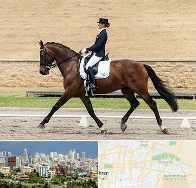 باشگاه سوارکاری بانوان در شرق تهران 