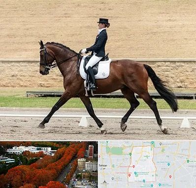 باشگاه سوارکاری بانوان در منطقه 6 تهران 