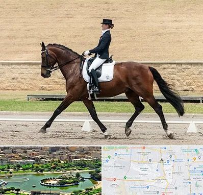 باشگاه سوارکاری بانوان در منطقه 9 تهران 