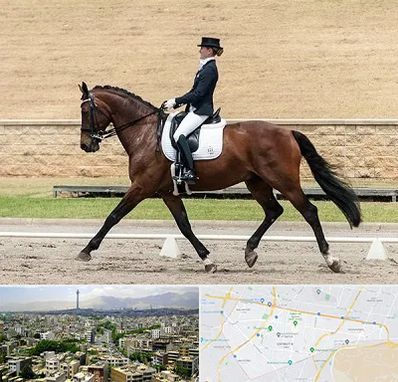 باشگاه سوارکاری بانوان در منطقه 8 تهران 