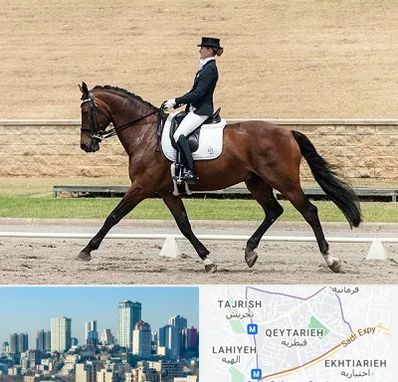 باشگاه سوارکاری بانوان در قیطریه 