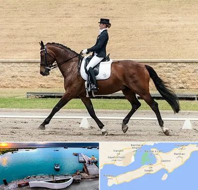 باشگاه سوارکاری بانوان در قشم