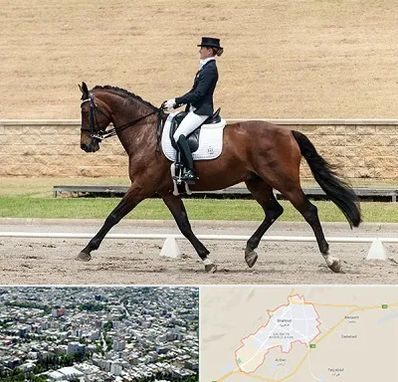 باشگاه سوارکاری بانوان در شاهرود