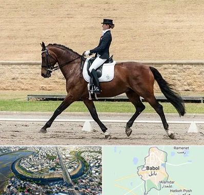 باشگاه سوارکاری بانوان در بابل