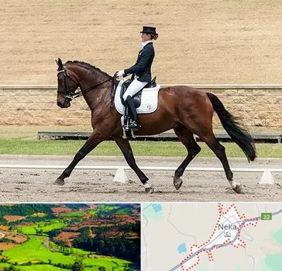 باشگاه سوارکاری بانوان در نکا