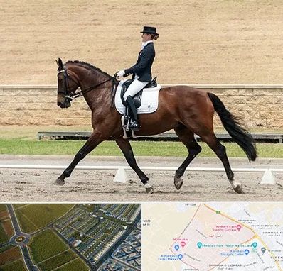 باشگاه سوارکاری بانوان در الهیه مشهد