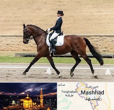 باشگاه سوارکاری بانوان در مشهد