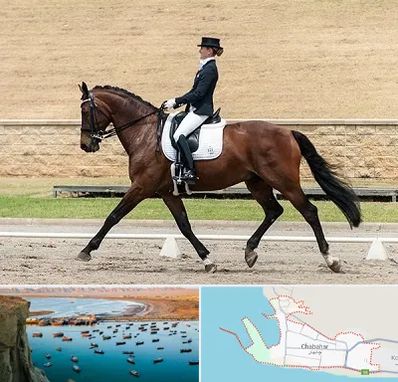 باشگاه سوارکاری بانوان در چابهار