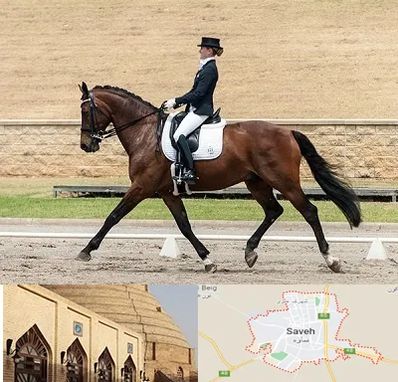 باشگاه سوارکاری بانوان در ساوه