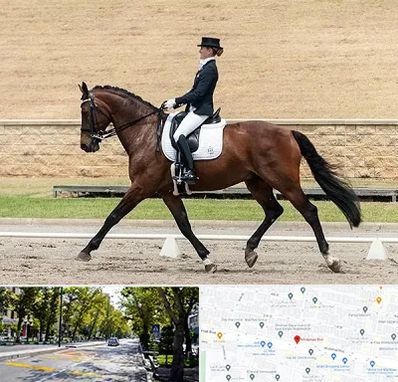 باشگاه سوارکاری بانوان در میرداماد 