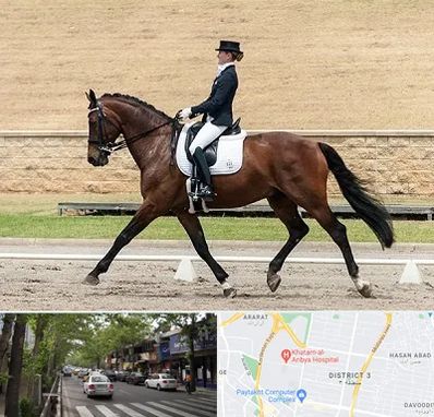 باشگاه سوارکاری بانوان در ظفر 