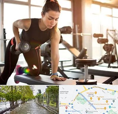 باشگاه فیتنس بانوان در خیابان ارم شیراز