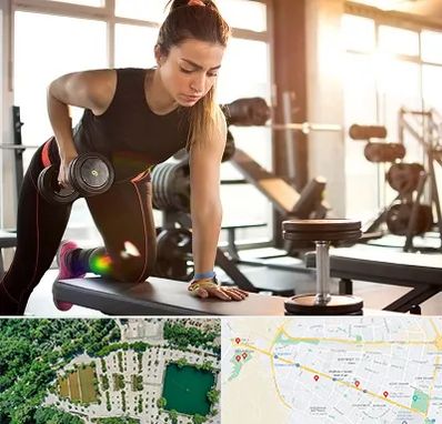 باشگاه فیتنس بانوان در وکیل آباد مشهد