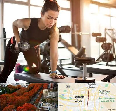 باشگاه فیتنس بانوان در ولیعصر 