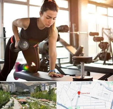 باشگاه فیتنس بانوان در بلوار تعاون