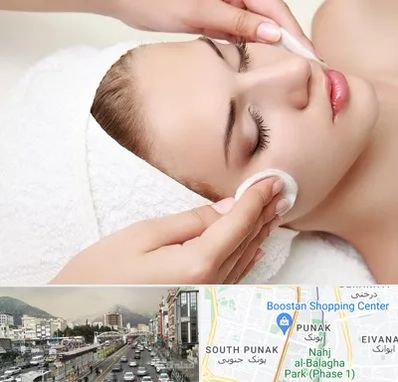 مرکز فیشیال در پونک 