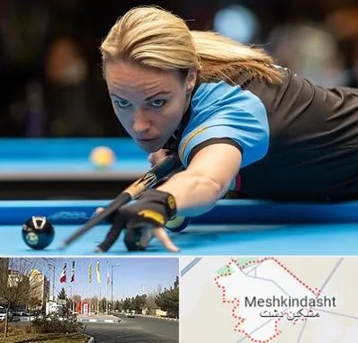 باشگاه بیلیارد بانوان در مشکین دشت