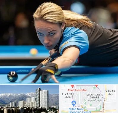 باشگاه بیلیارد بانوان در شهرک غرب 