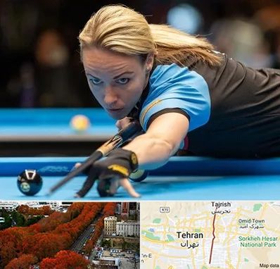 باشگاه بیلیارد بانوان در ولیعصر 