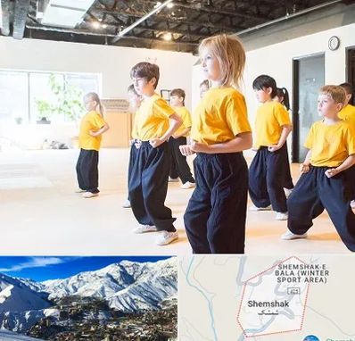 باشگاه کنگ فو در شمشک