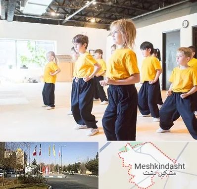 باشگاه کنگ فو در مشکین دشت