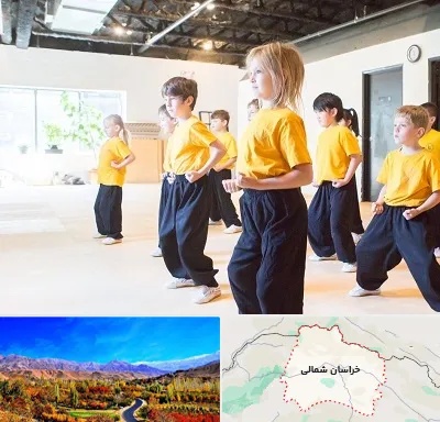 باشگاه کنگ فو در خراسان شمالی