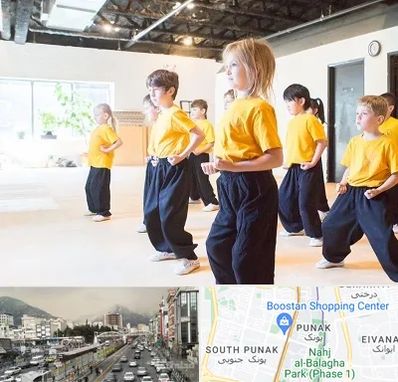 باشگاه کنگ فو در پونک 