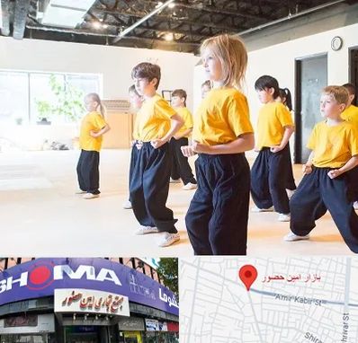 باشگاه کنگ فو در امین حضور