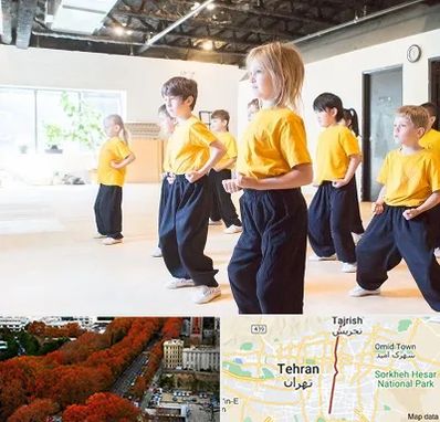 باشگاه کنگ فو در ولیعصر 