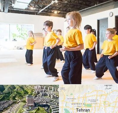 باشگاه کنگ فو در شمال تهران 