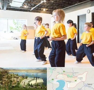 باشگاه کنگ فو در شبستر