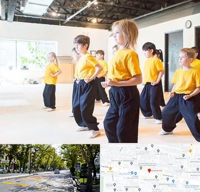 باشگاه کنگ فو در میرداماد 