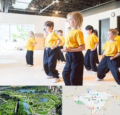 باشگاه کنگ فو در بجنورد