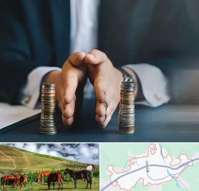 وکیل ارث در تالش