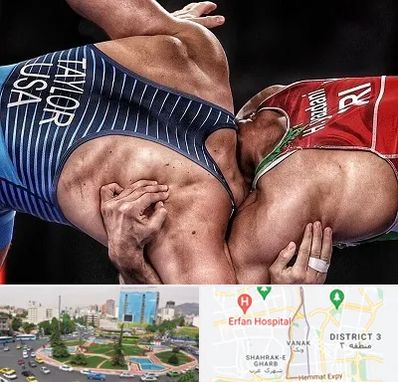 باشگاه کشتی در ونک 