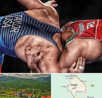 باشگاه کشتی در آمل