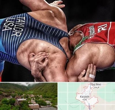 باشگاه کشتی در کلاله