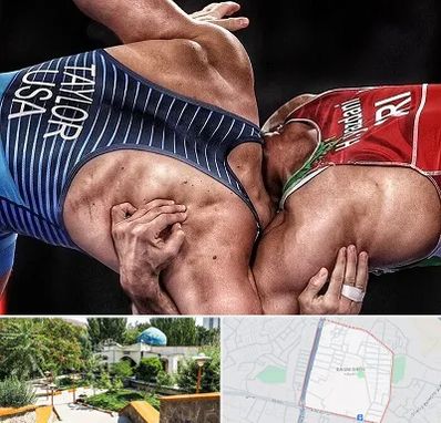 باشگاه کشتی در باغمیشه تبریز