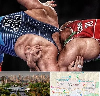 باشگاه کشتی در منطقه 1 تهران 