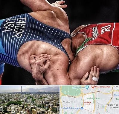 باشگاه کشتی در گیشا 