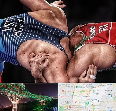 باشگاه کشتی در منطقه 3 تهران 