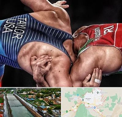 باشگاه کشتی در مراغه