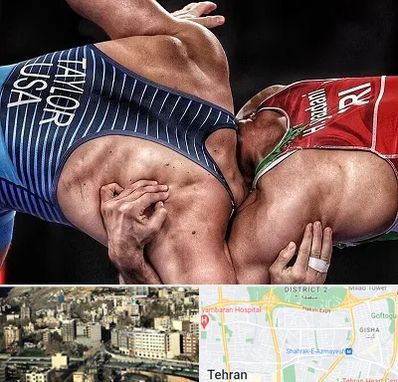 باشگاه کشتی در مرزداران 