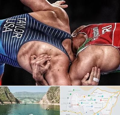 باشگاه کشتی در ایلام