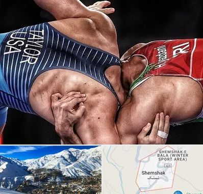 باشگاه کشتی در شمشک