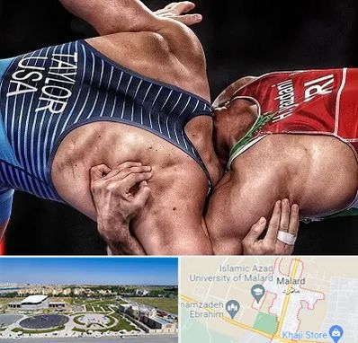 باشگاه کشتی در ملارد