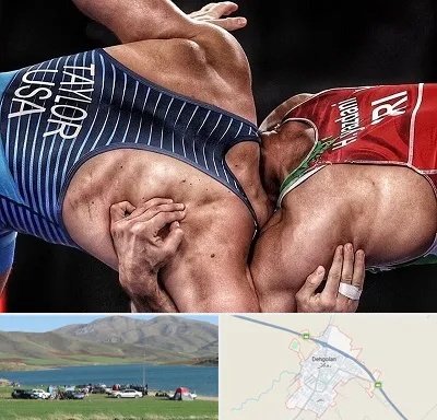 باشگاه کشتی در دهگلان