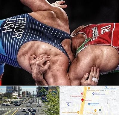 باشگاه کشتی در ستاری 